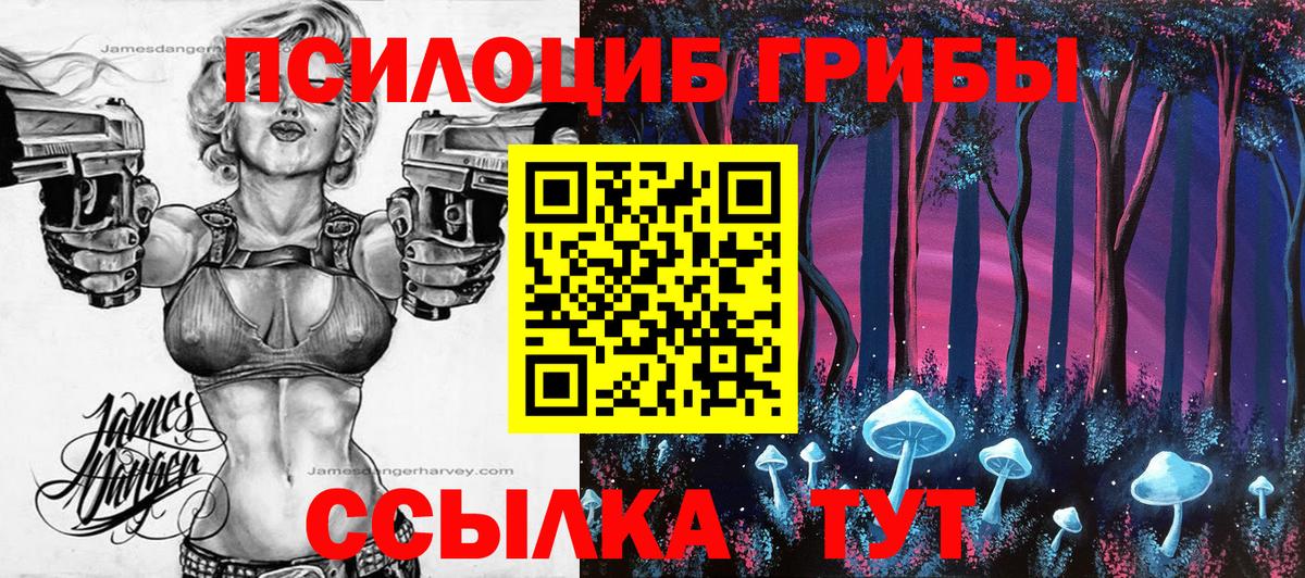 Галлюциногенные грибы ЛСД Камышлов